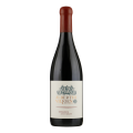 Alvi's Drift Albertus Viljoen Red Bismarck 2018