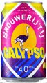 Brouwerij 't IJ Calypso IPA 4%